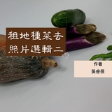 租地種菜去照片選輯二 租地種菜去照片選輯二